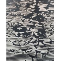 Serse-A fior d'acqua, 2015